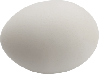 Chicken_egg